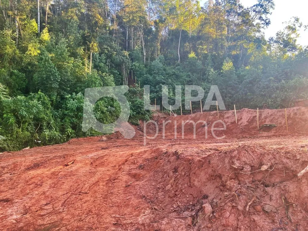 Terreno, 2491 m² - Foto 3