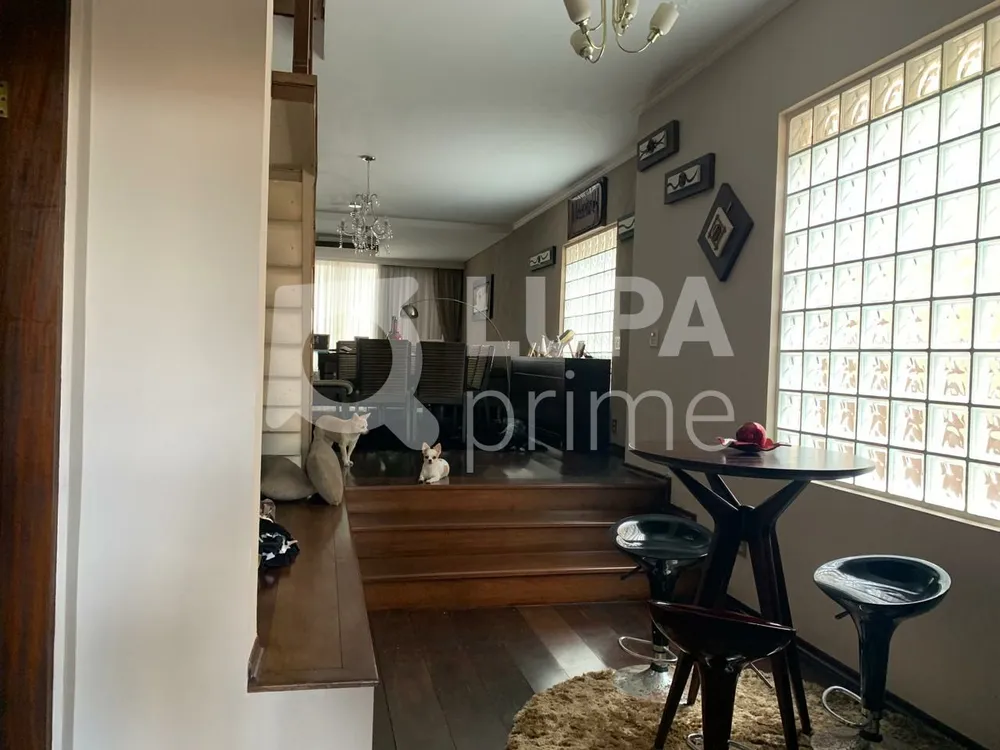 Casa, 4 quartos, 570 m² - Foto 5