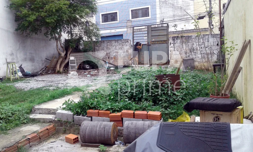 Terreno, 500 m² - Foto 7