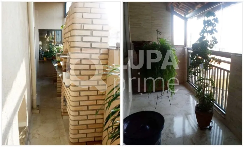 Casa, 4 quartos, 360 m² - Foto 5