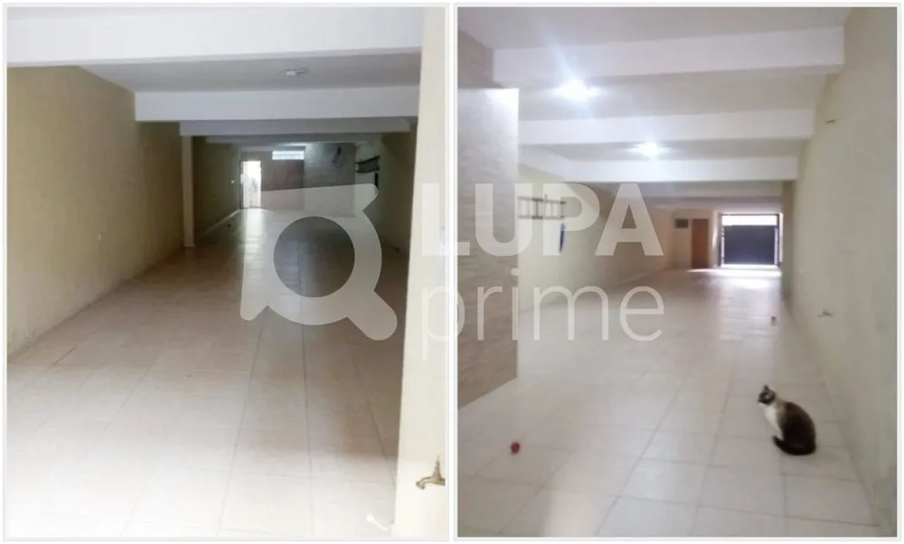 Casa, 4 quartos, 360 m² - Foto 11