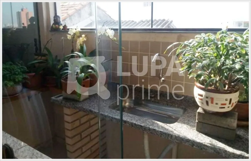 Casa, 4 quartos, 360 m² - Foto 10