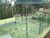 Apartamento, 2 quartos, 53 m² - Foto 3