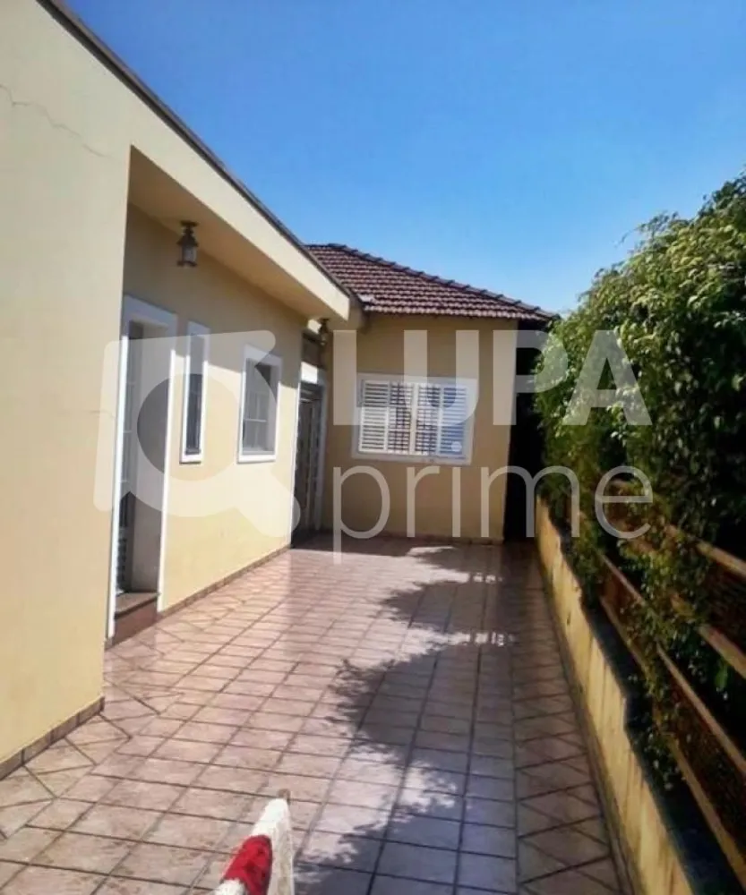 Casa, 3 quartos, 230 m² - Foto 11