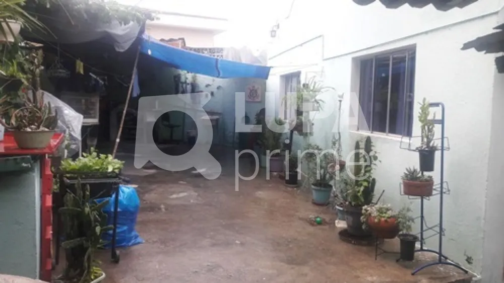 Terreno, 250 m² - Foto 3