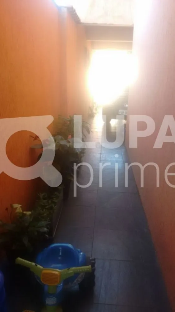 Casa, 3 quartos, 280 m² - Foto 6