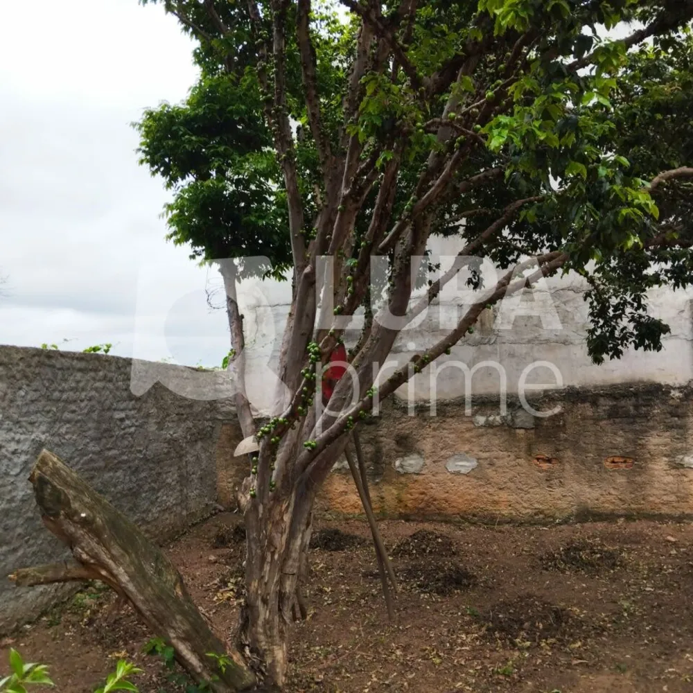 Casa, 3 quartos, 133 m² - Foto 7