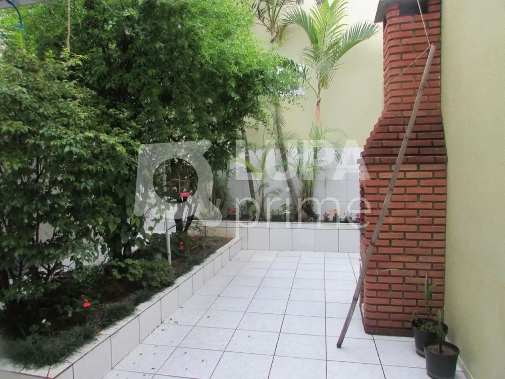 Casa, 5 quartos, 300 m² - Foto 10