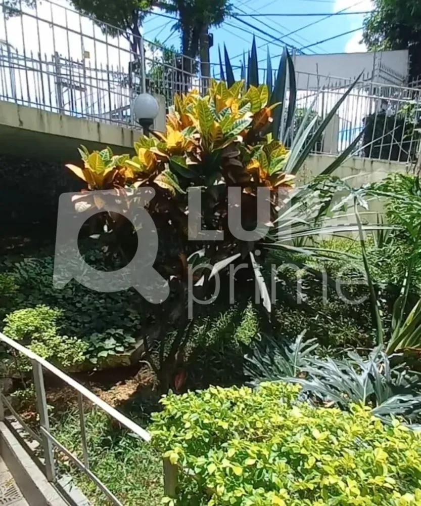 Prédio Inteiro, 560 m² - Foto 4