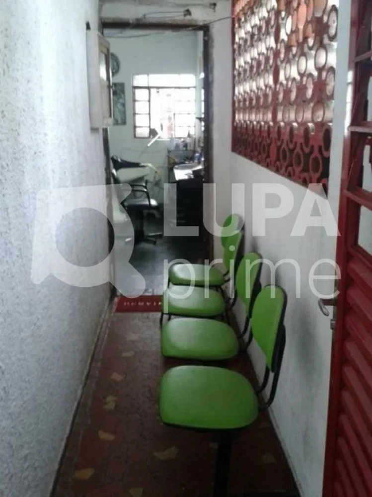Casa, 4 quartos, 175 m² - Foto 6