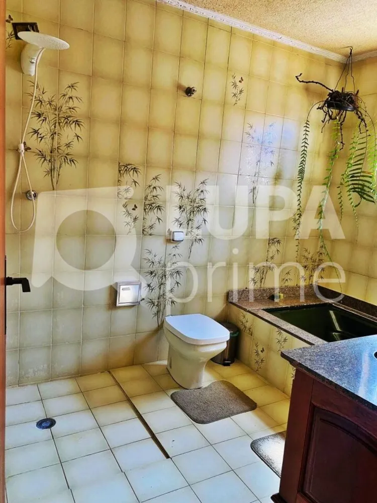Casa, 4 quartos, 317 m² - Foto 11