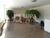 Apartamento, 3 quartos, 211 m² - Foto 15