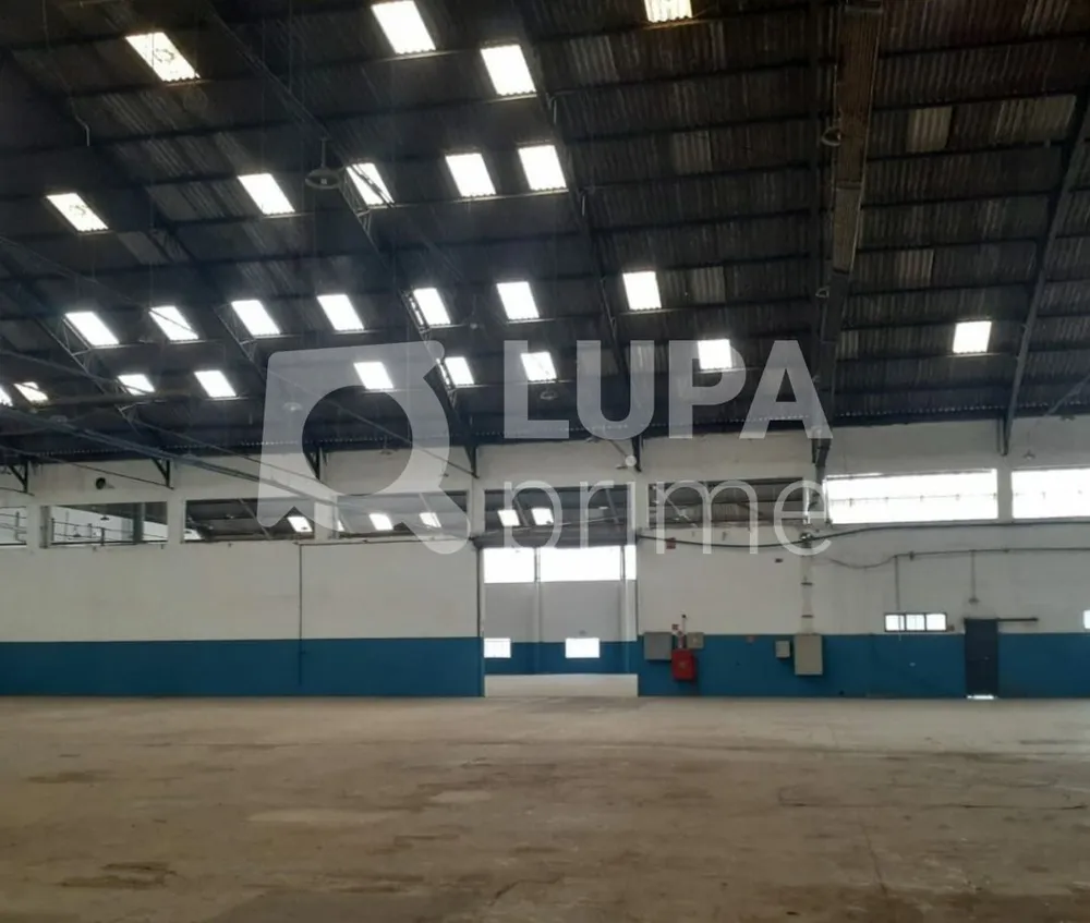 Depósito-Galpão, 5800 m² - Foto 10