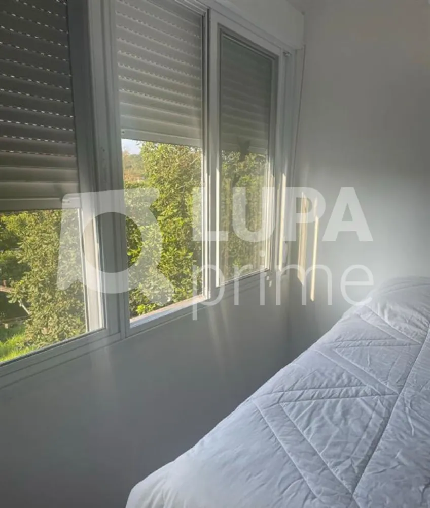 Casa, 4 quartos, 210 m² - Foto 11