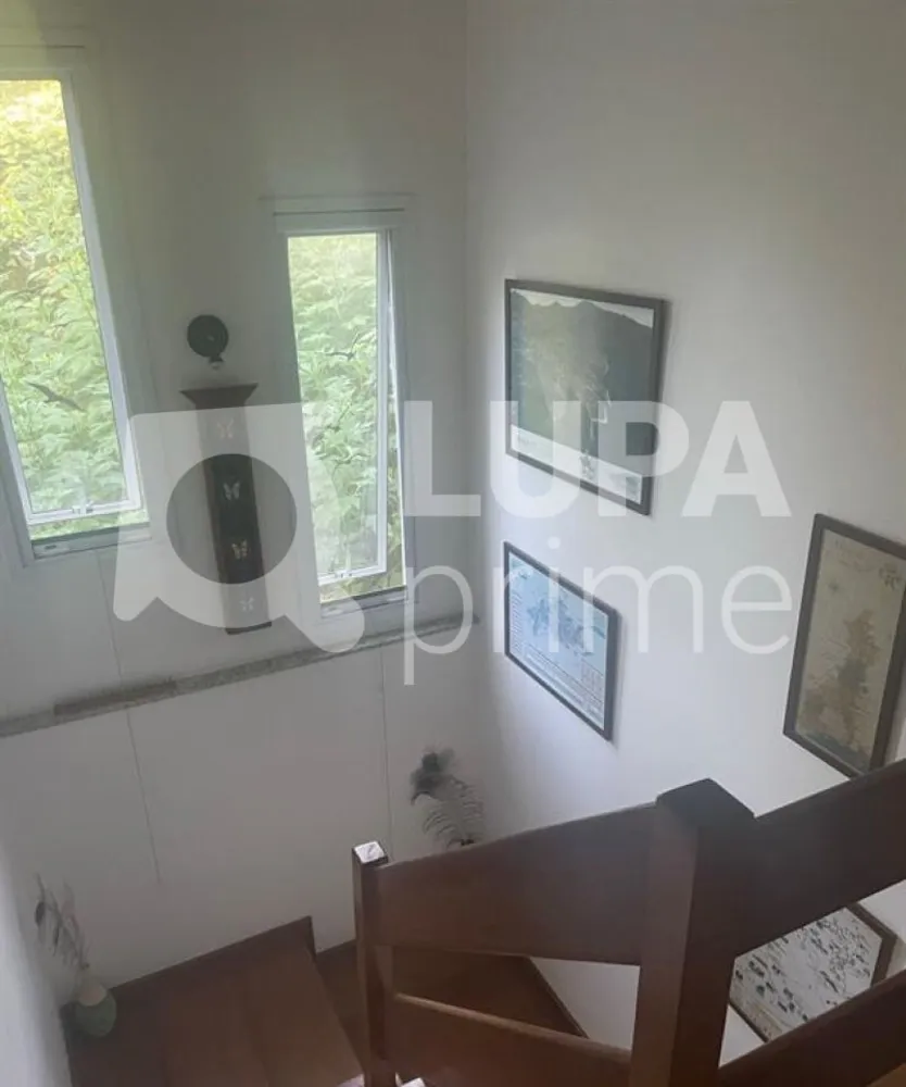 Casa, 4 quartos, 210 m² - Foto 8