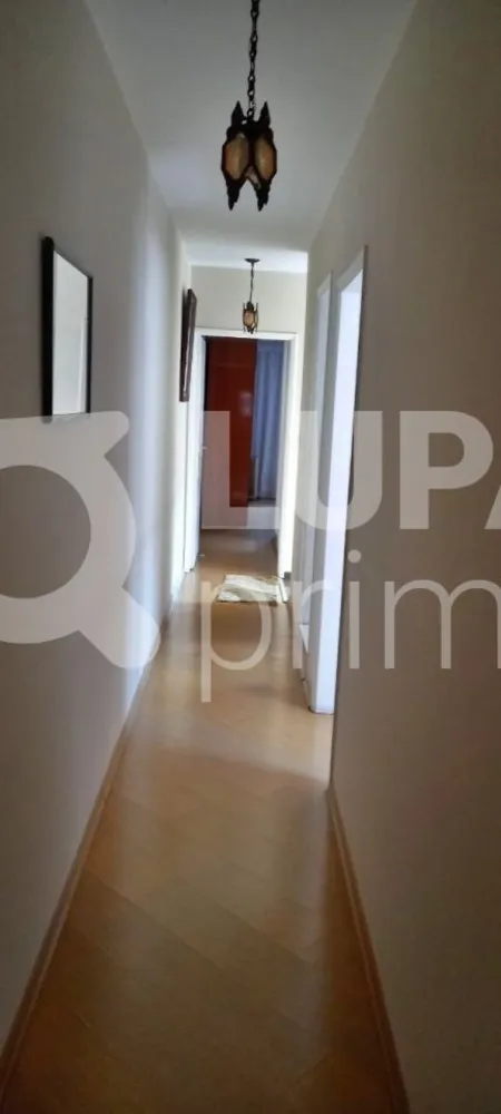 Casa, 4 quartos, 223 m² - Foto 10