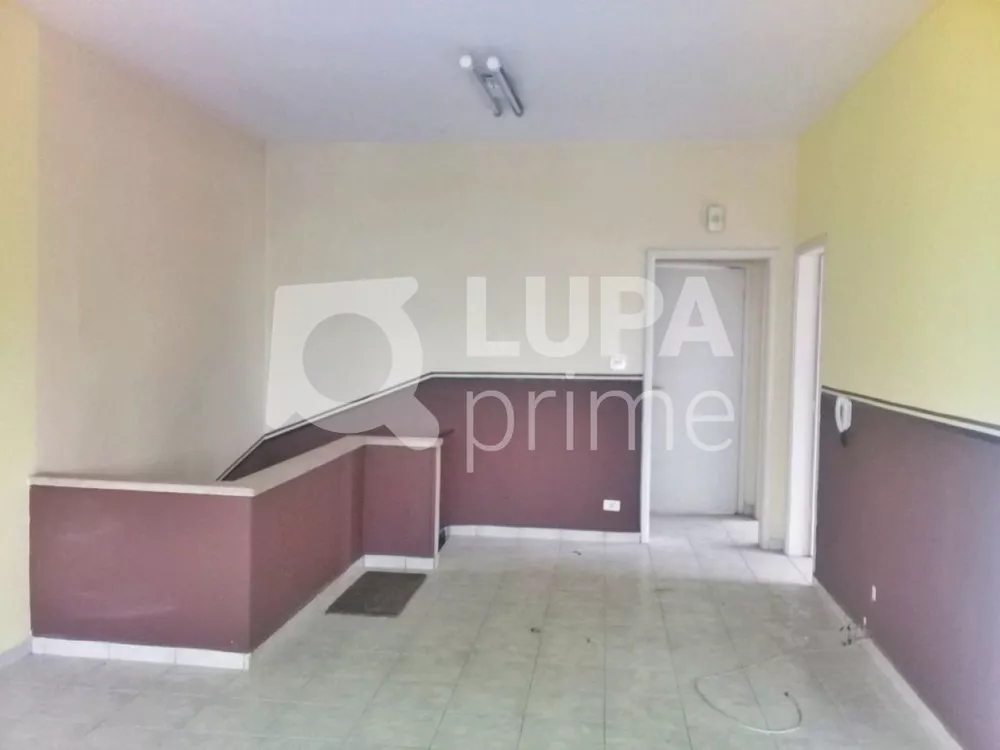 Casa Comercial à venda com 3 quartos, 450m² - Foto 2