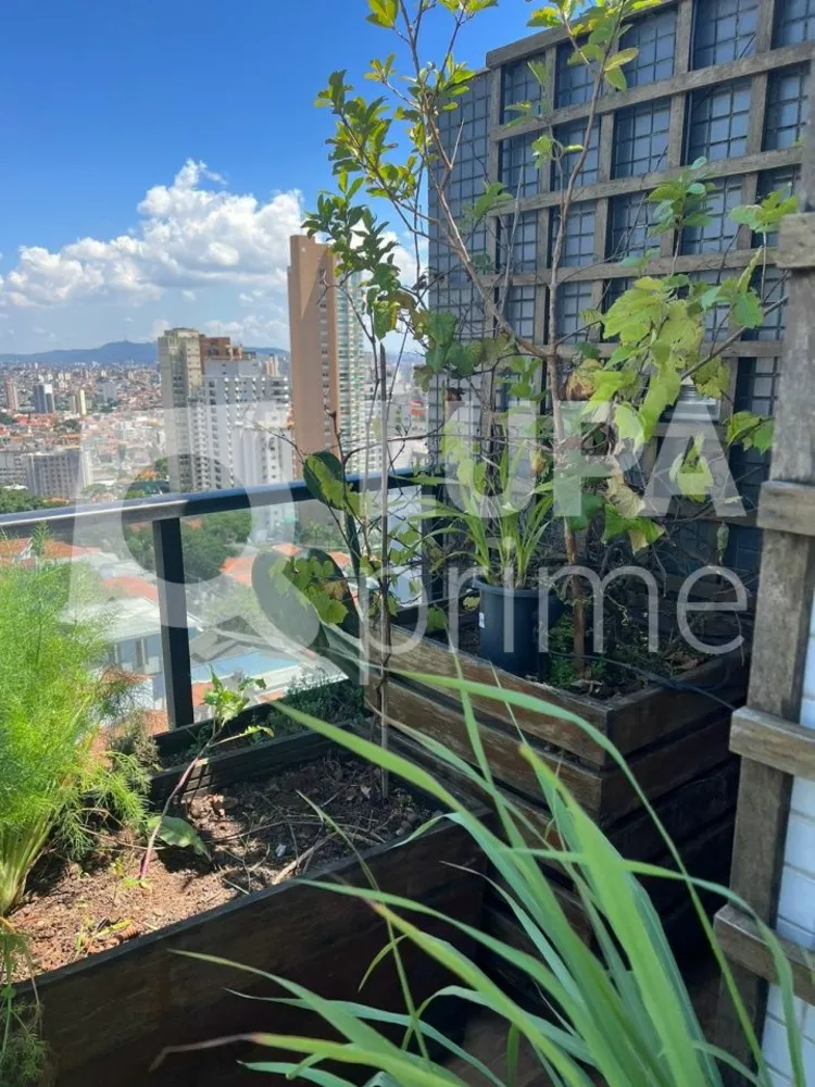 Apartamento, 4 quartos, 445 m² - Foto 14
