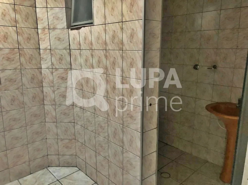 Casa, 3 quartos, 360 m² - Foto 12