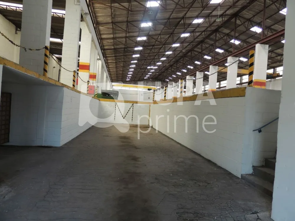 Depósito-Galpão, 4000 m² - Foto 3