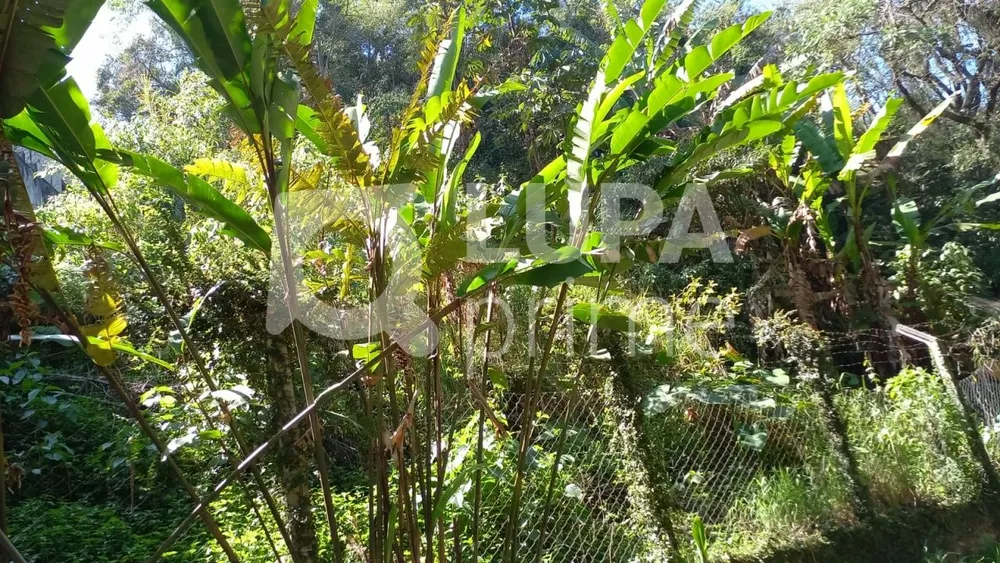 Terreno, 500 m² - Foto 3
