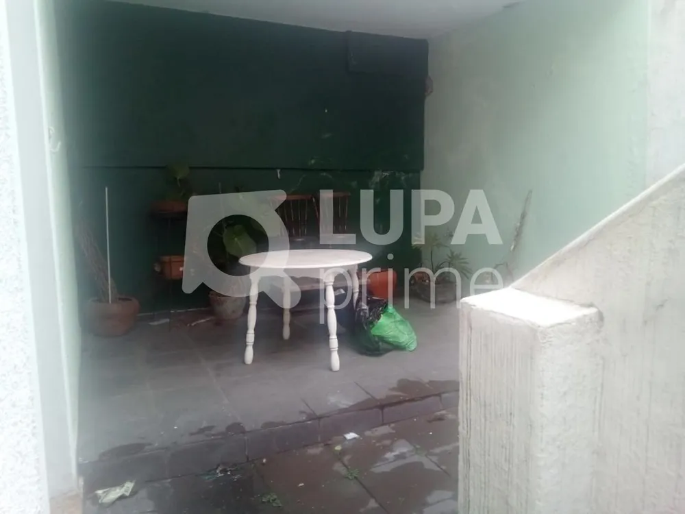 Casa, 4 quartos, 178 m² - Foto 8