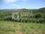 Sítio, 4 hectares - Foto 1