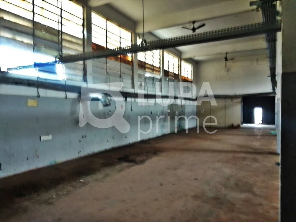 Depósito-Galpão, 1000 m² - Foto 4