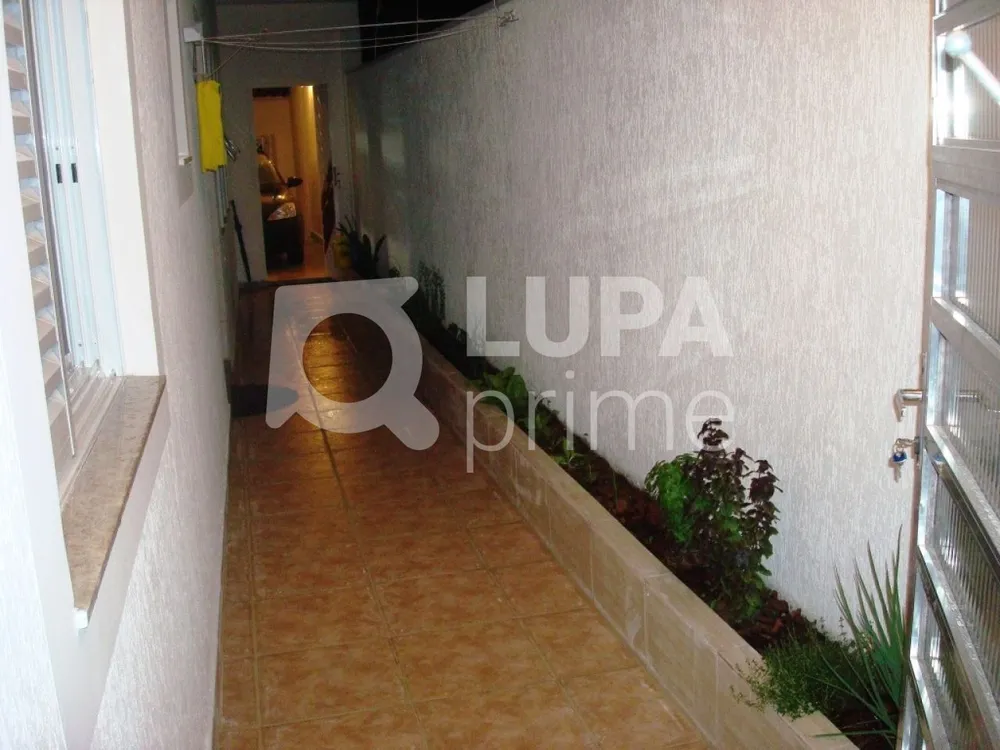 Casa, 5 quartos, 320 m² - Foto 5