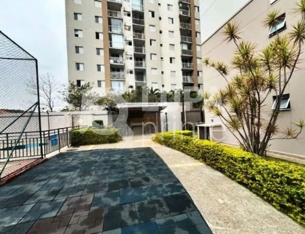 Apartamento à venda com 2 quartos, 50m² - Foto 14