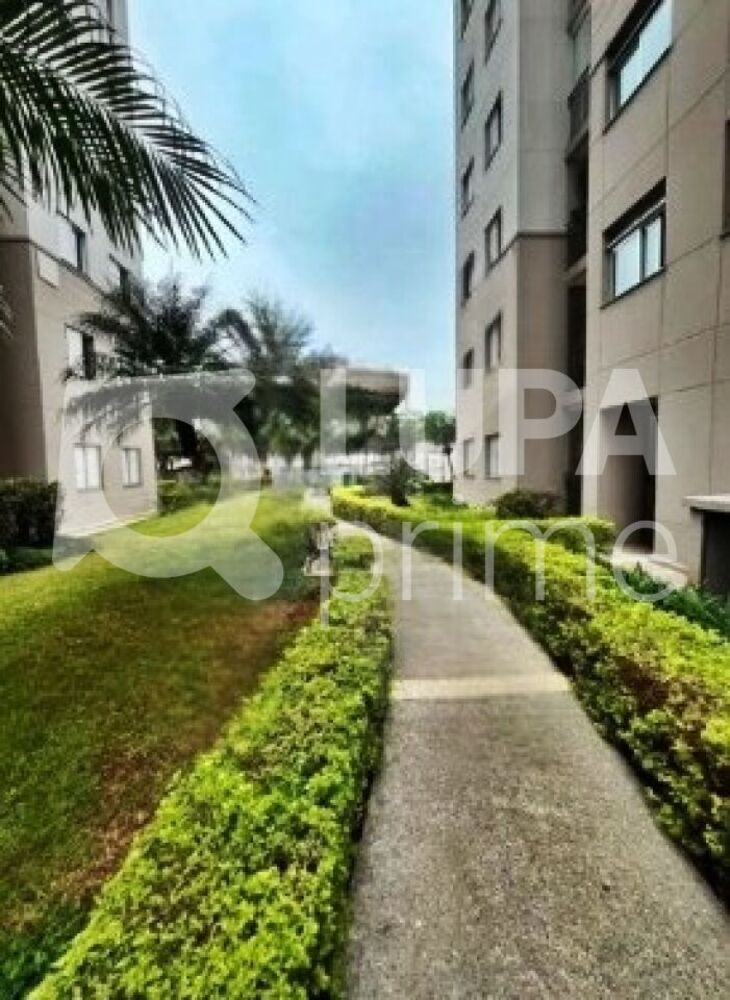 Apartamento à venda com 2 quartos, 50m² - Foto 11