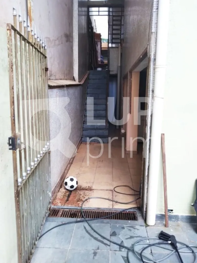 Casa, 3 quartos, 317 m² - Foto 13