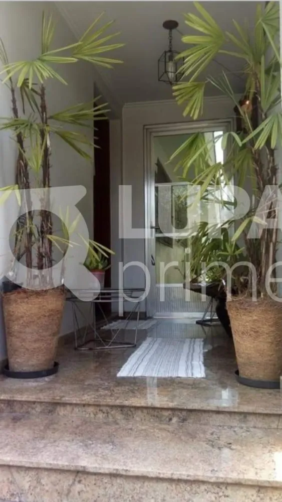 Casa, 4 quartos, 375 m² - Foto 6