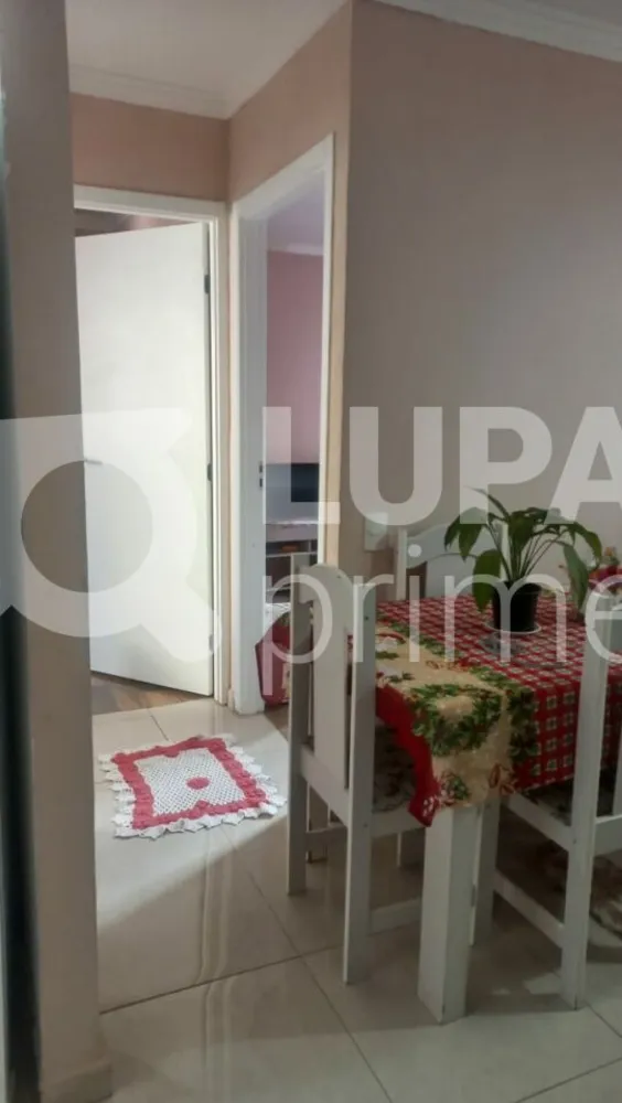Apartamento, 2 quartos, 39 m² - Foto 7
