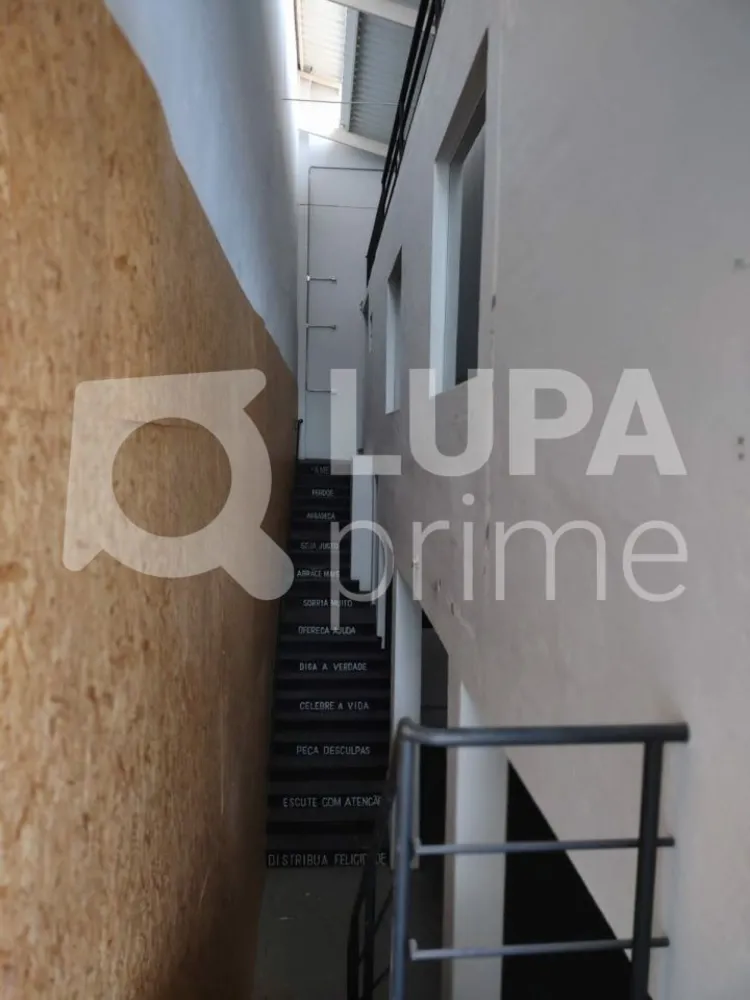 Depósito-Galpão, 360 m² - Foto 3