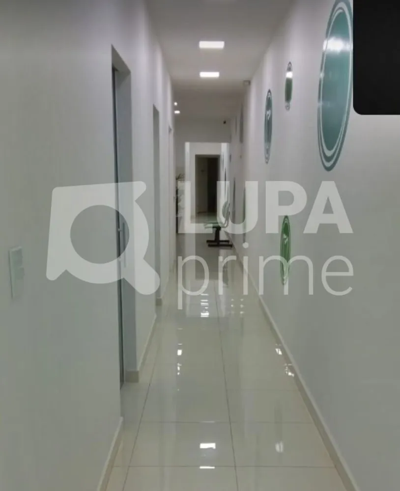 Loja-Salão, 260 m² - Foto 2