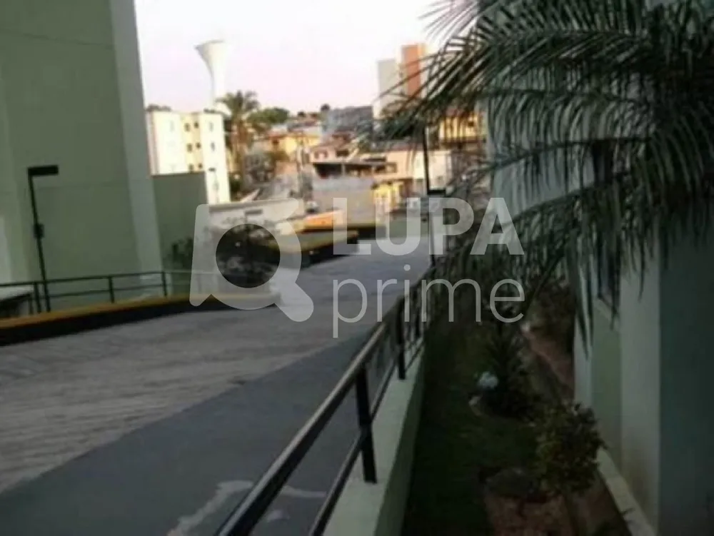 Apartamento, 3 quartos, 60 m² - Foto 2