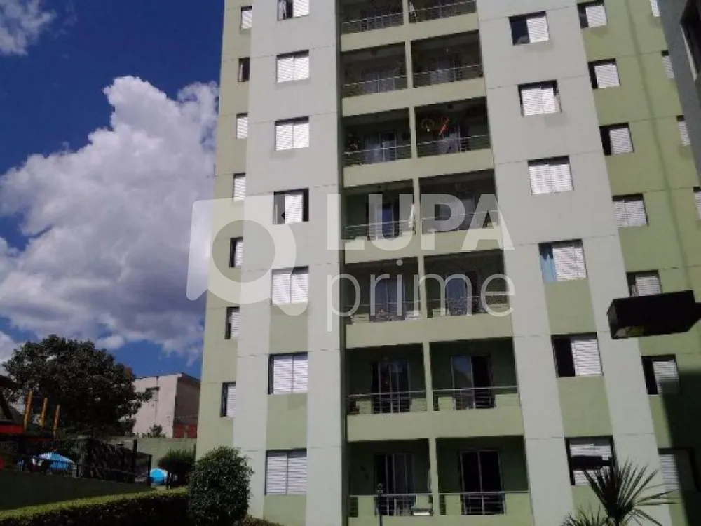 Apartamento, 3 quartos, 60 m² - Foto 5