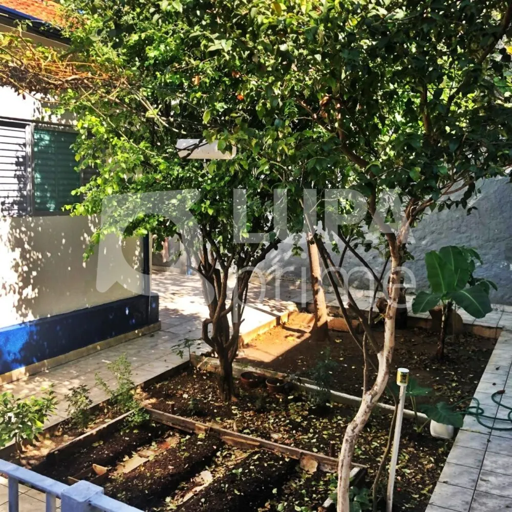 Casa, 6 quartos, 348 m² - Foto 4