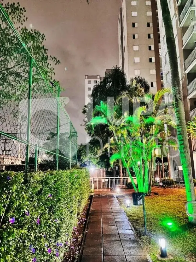 Apartamento, 3 quartos, 61 m² - Foto 10