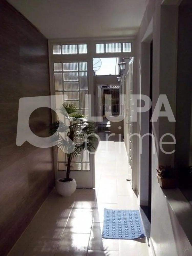 Casa, 3 quartos, 580 m² - Foto 7
