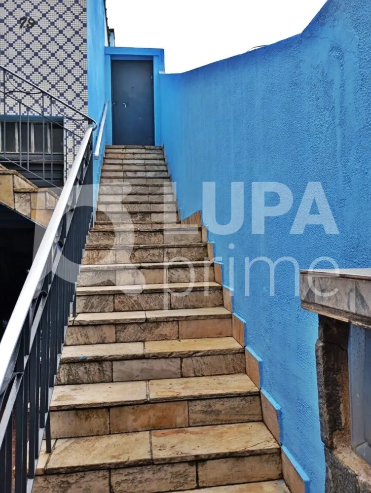 Casa, 5 quartos, 236 m² - Foto 12