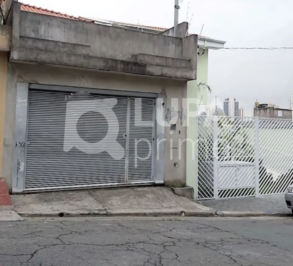 Casa, 4 quartos, 250 m² - Foto 8