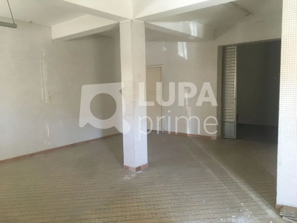 Casa, 3 quartos, 290 m² - Foto 6