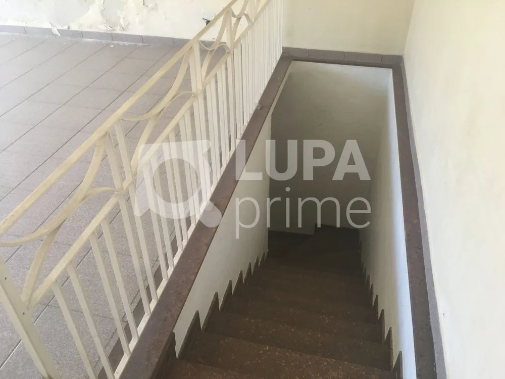 Casa, 3 quartos, 290 m² - Foto 3