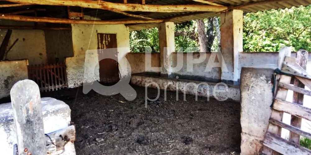 Terreno, 1040 m² - Foto 5