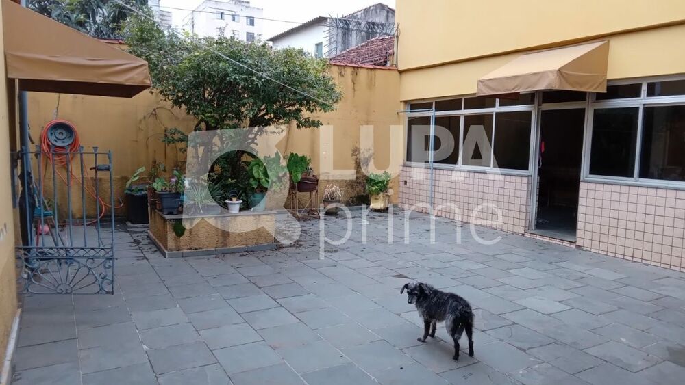 Casa para alugar com 3 quartos, 220m² - Foto 6