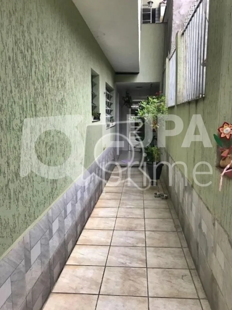Casa, 4 quartos, 243 m² - Foto 10