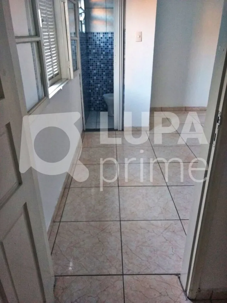 Casa, 4 quartos, 176 m² - Foto 11