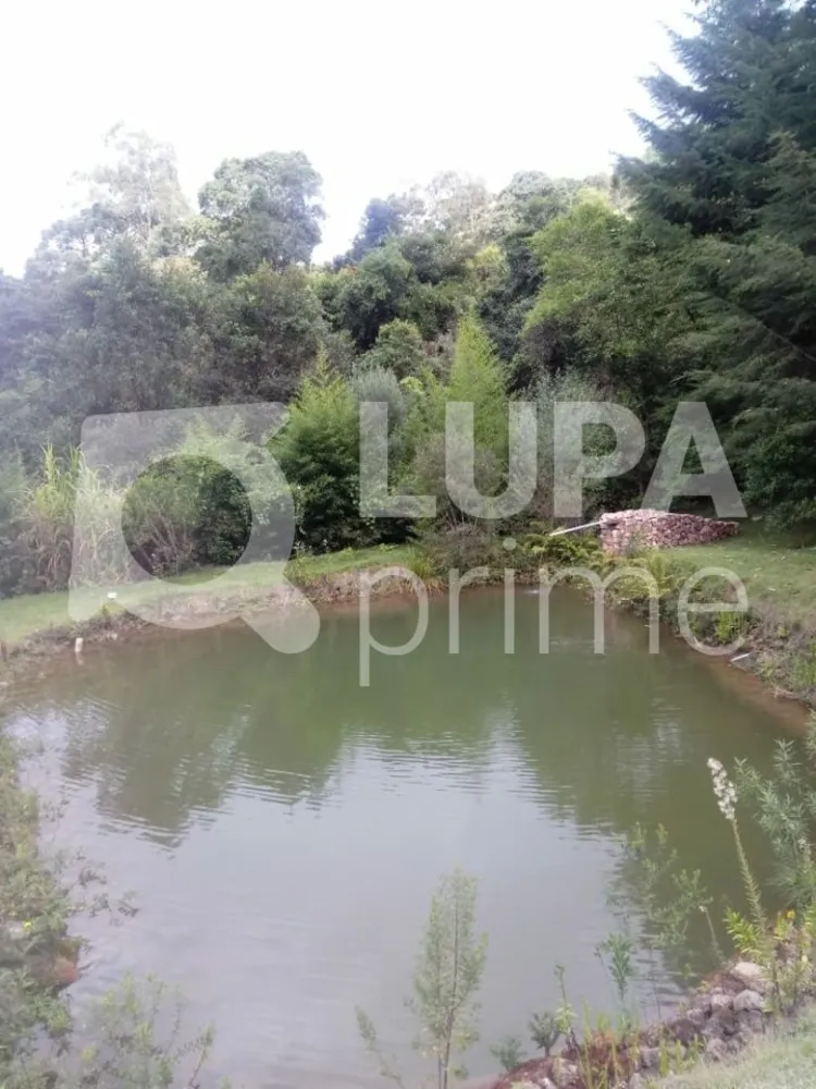 Chácara, 5 quartos, 1 hectares - Foto 6